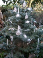 albero natalizio chich