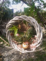 Coroncina pasquale