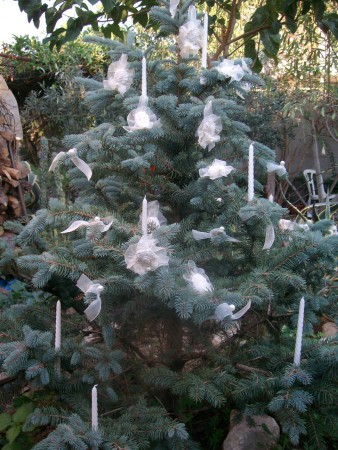 albero natalizio chich
